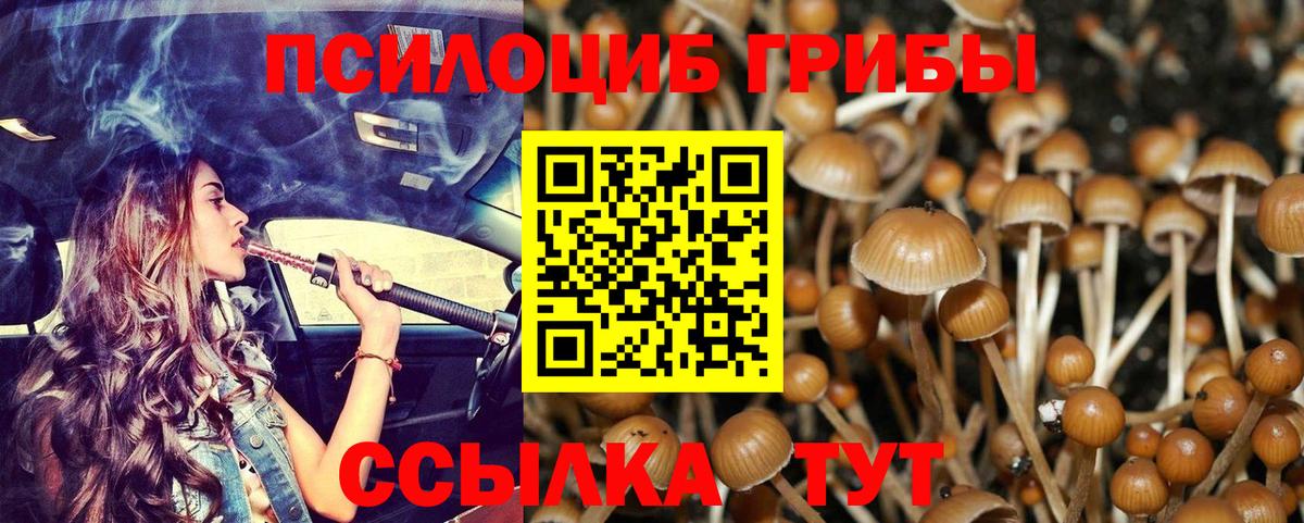 Нижнеудинск  Галлюциногенные грибы Psilocybe  Вход с VPN 