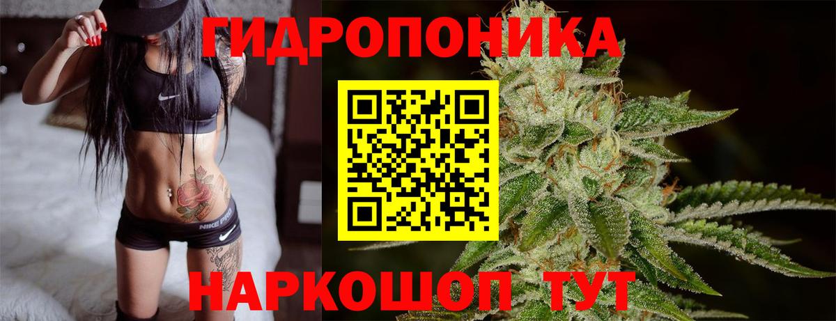 Канабис MAZAR  МАРИХУАНА сатива  Вход с VPN  Бошки Шишки планчик  Нижнеудинск 
